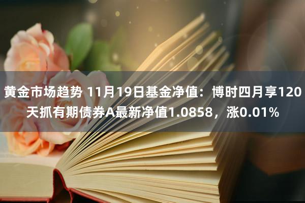 黄金市场趋势 11月19日基金净值：博时四月享120天抓有期债券A最新净值1.0858，涨0.01%