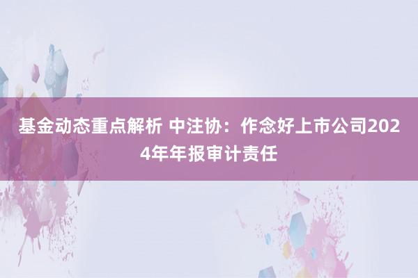 基金动态重点解析 中注协：作念好上市公司2024年年报审计责任