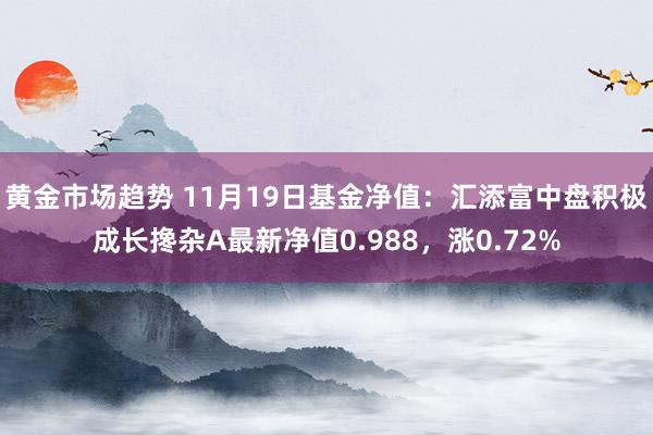 黄金市场趋势 11月19日基金净值：汇添富中盘积极成长搀杂A最新净值0.988，涨0.72%