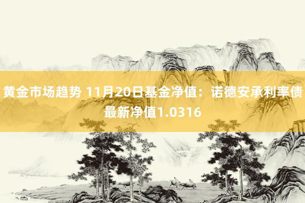 黄金市场趋势 11月20日基金净值：诺德安承利率债最新净值1.0316