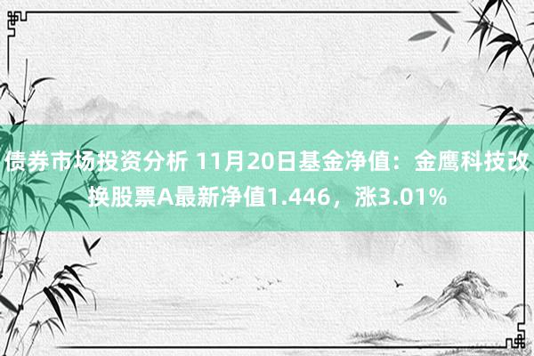 债券市场投资分析 11月20日基金净值：金鹰科技改换股票A最新净值1.446，涨3.01%