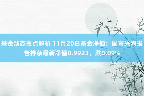 基金动态重点解析 11月20日基金净值：国富兴海报告搀杂最新净值0.9923，跌0.09%