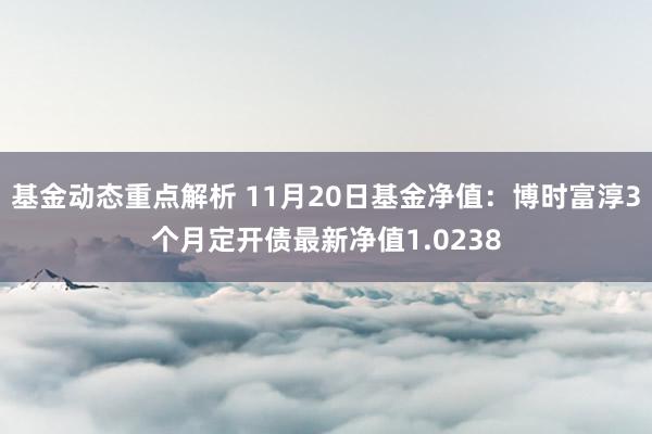 基金动态重点解析 11月20日基金净值：博时富淳3个月定开债最新净值1.0238