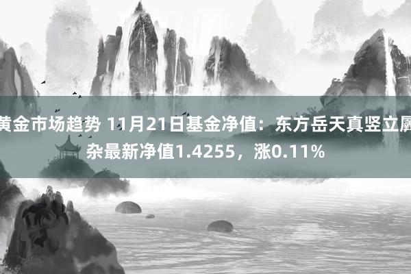 黄金市场趋势 11月21日基金净值：中银乐享债券最新净值1.0424，涨0.04%