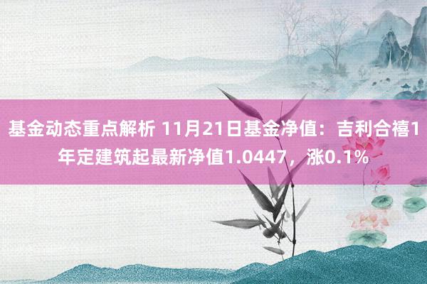 基金动态重点解析 11月21日基金净值：吉利合禧1年定建筑起最新净值1.0447，涨0.1%