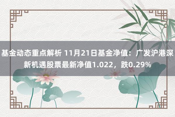 基金动态重点解析 11月21日基金净值：广发沪港深新机遇股票最新净值1.022，跌0.29%