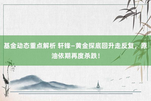 基金动态重点解析 轩锋—黄金探底回升走反复，原油依期再度杀跌！