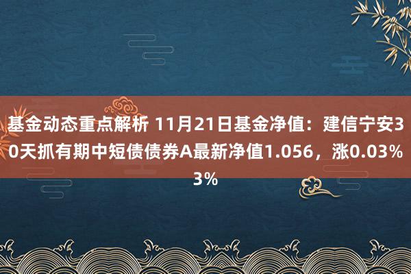 基金动态重点解析 11月21日基金净值：建信宁安30天抓有期中短债债券A最新净值1.056，涨0.03%