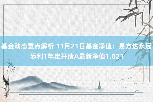 基金动态重点解析 11月21日基金净值：易方达永远添利1年定开债A最新净值1.021