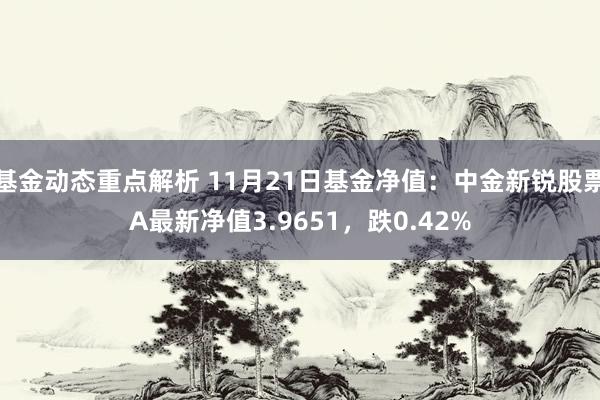 基金动态重点解析 11月21日基金净值：中金新锐股票A最新净值3.9651，跌0.42%