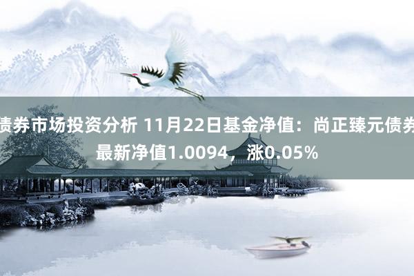 债券市场投资分析 11月22日基金净值：尚正臻元债券最新净值1.0094，涨0.05%