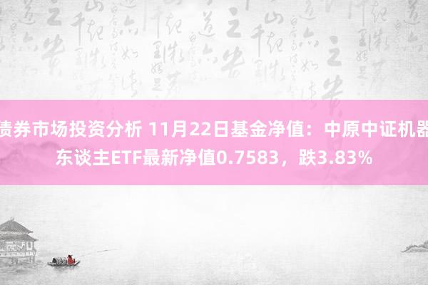 债券市场投资分析 11月22日基金净值：中原中证机器东谈主ETF最新净值0.7583，跌3.83%