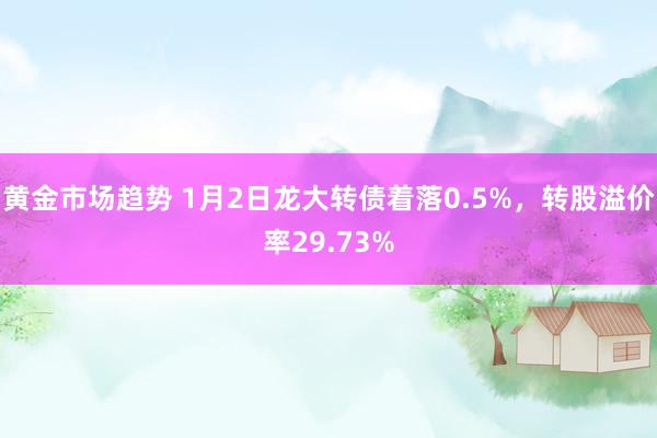 黄金市场趋势 1月2日龙大转债着落0.5%，转股溢价率29.73%