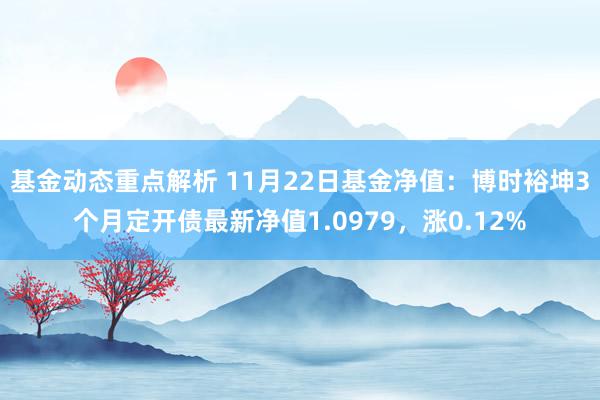 基金动态重点解析 11月22日基金净值：博时裕坤3个月定开债最新净值1.0979，涨0.12%