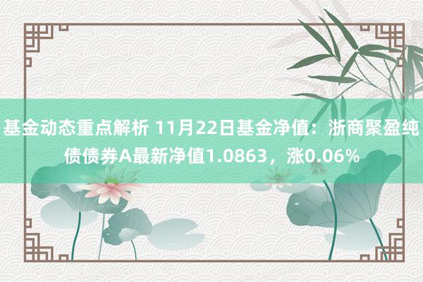 基金动态重点解析 11月22日基金净值：浙商聚盈纯债债券A最新净值1.0863，涨0.06%