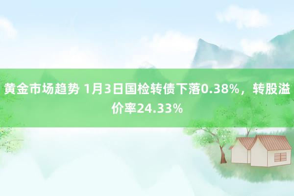 黄金市场趋势 1月3日国检转债下落0.38%，转股溢价率24.33%