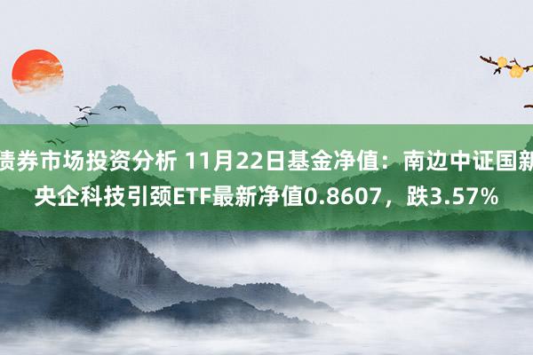 债券市场投资分析 11月22日基金净值：南边中证国新央企科技引颈ETF最新净值0.8607，跌3.57%