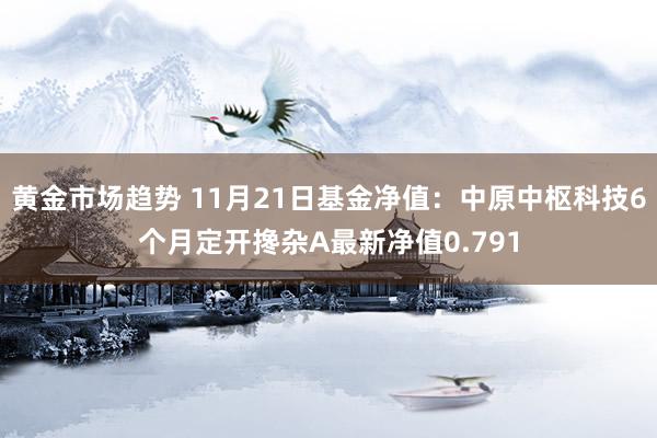 黄金市场趋势 11月21日基金净值：中原中枢科技6个月定开搀杂A最新净值0.791