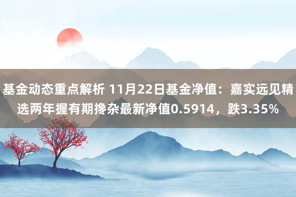 基金动态重点解析 11月22日基金净值：嘉实远见精选两年握有期搀杂最新净值0.5914，跌3.35%