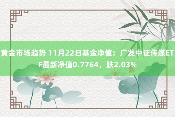 黄金市场趋势 11月22日基金净值：广发中证传媒ETF最新净值0.7764，跌2.03%