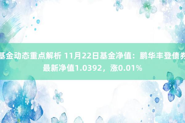 基金动态重点解析 11月22日基金净值：鹏华丰登债券最新净值1.0392，涨0.01%