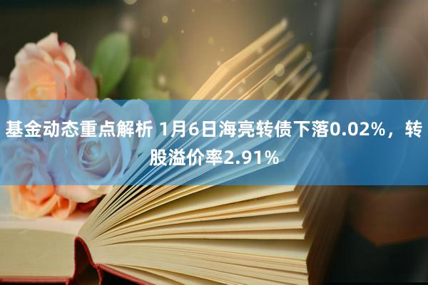 基金动态重点解析 1月6日海亮转债下落0.02%，转股溢价率2.91%