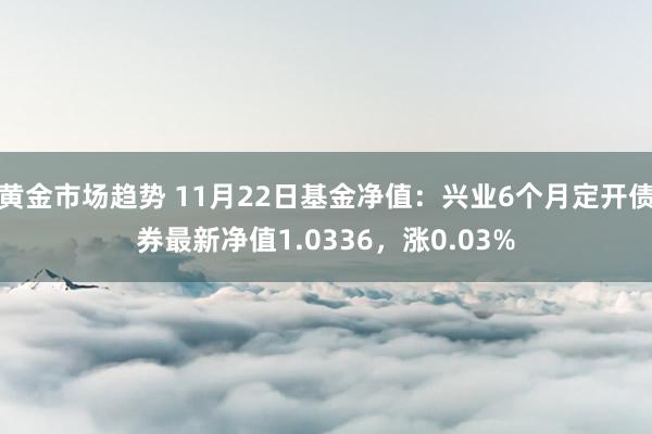 黄金市场趋势 11月22日基金净值：兴业6个月定开债券最新净值1.0336，涨0.03%