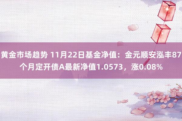 黄金市场趋势 11月22日基金净值：金元顺安泓丰87个月定开债A最新净值1.0573，涨0.08%