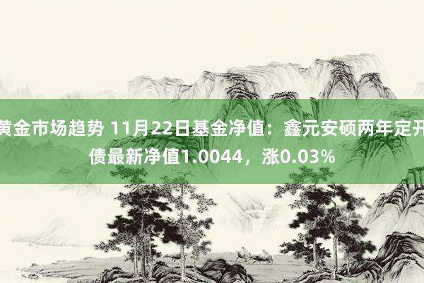 黄金市场趋势 11月22日基金净值：鑫元安硕两年定开债最新净值1.0044，涨0.03%