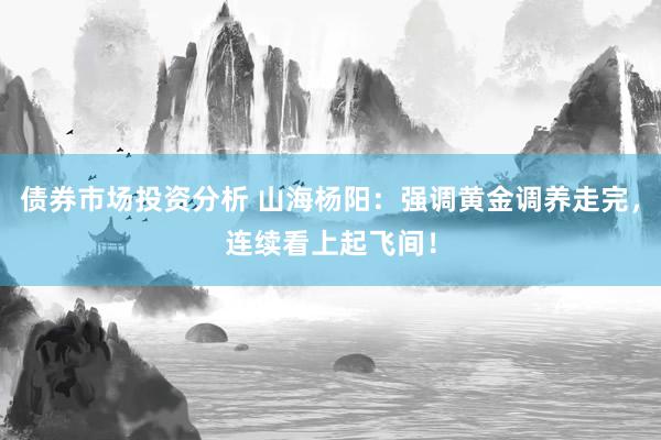 债券市场投资分析 山海杨阳：强调黄金调养走完，连续看上起飞间！