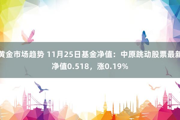 黄金市场趋势 11月25日基金净值：中原跳动股票最新净值0.518，涨0.19%