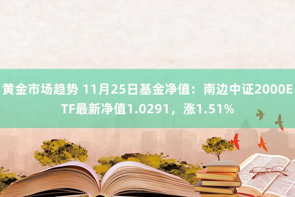 黄金市场趋势 11月25日基金净值：南边中证2000ETF最新净值1.0291，涨1.51%