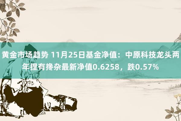 黄金市场趋势 11月25日基金净值：中原科技龙头两年捏有搀杂最新净值0.6258，跌0.57%