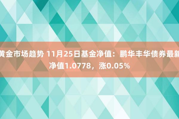 黄金市场趋势 11月25日基金净值：鹏华丰华债券最新净值1.0778，涨0.05%