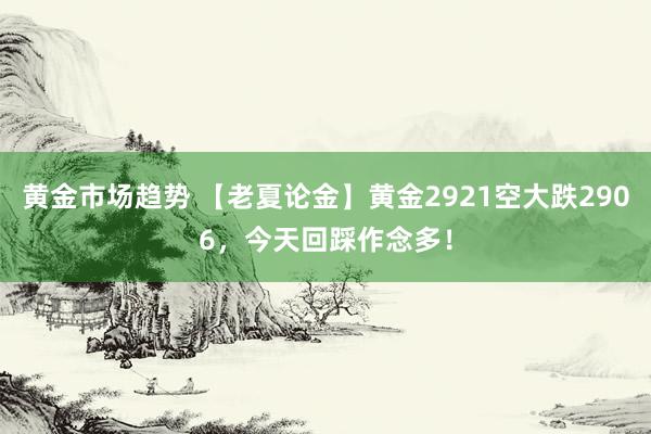 黄金市场趋势 【老夏论金】黄金2921空大跌2906，今天回踩作念多！