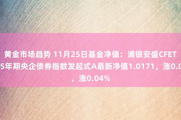 黄金市场趋势 11月25日基金净值：浦银安盛CFETS0-5年期央企债券指数发起式A最新净值1.0171，涨0.04%