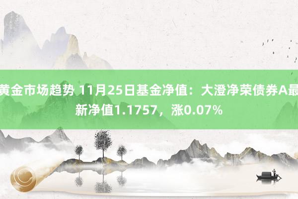 黄金市场趋势 11月25日基金净值：大澄净荣债券A最新净值1.1757，涨0.07%