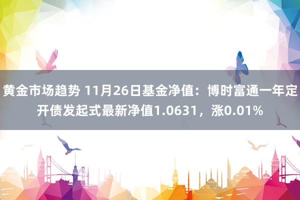 黄金市场趋势 11月26日基金净值：博时富通一年定开债发起式最新净值1.0631，涨0.01%